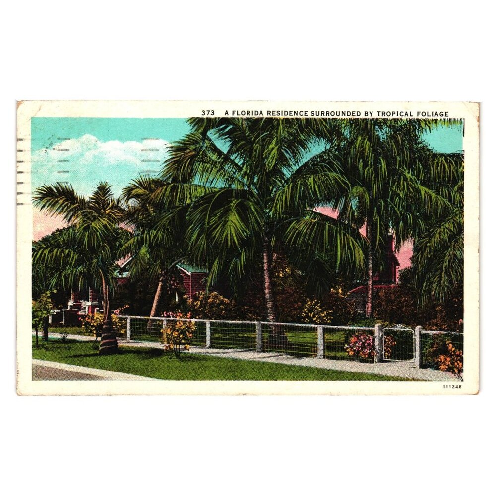 Vintage FL Postcard Tropical Foliage Residence Saint Petersburg 1934 Asheville